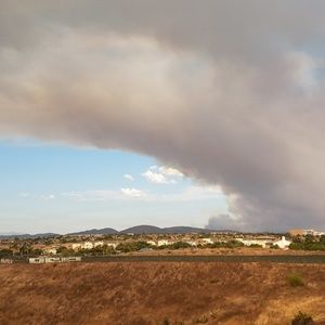 Meet your Posher, George